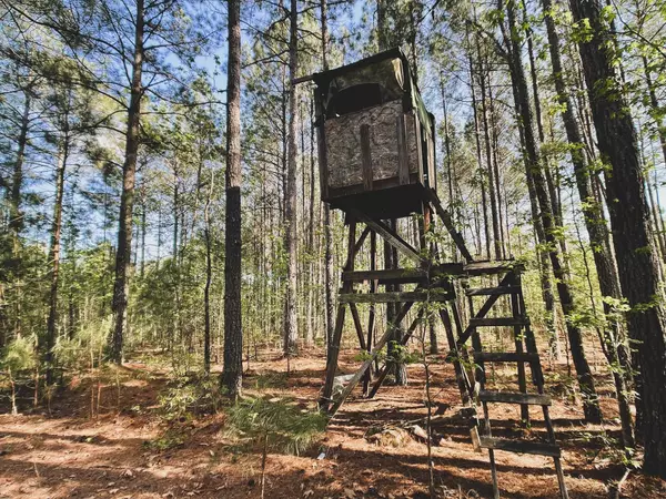 Creedmoor, NC 27522,54 Acres Walters Road