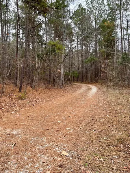 Lot 1 Right Way, Hurdle Mills, NC 27541