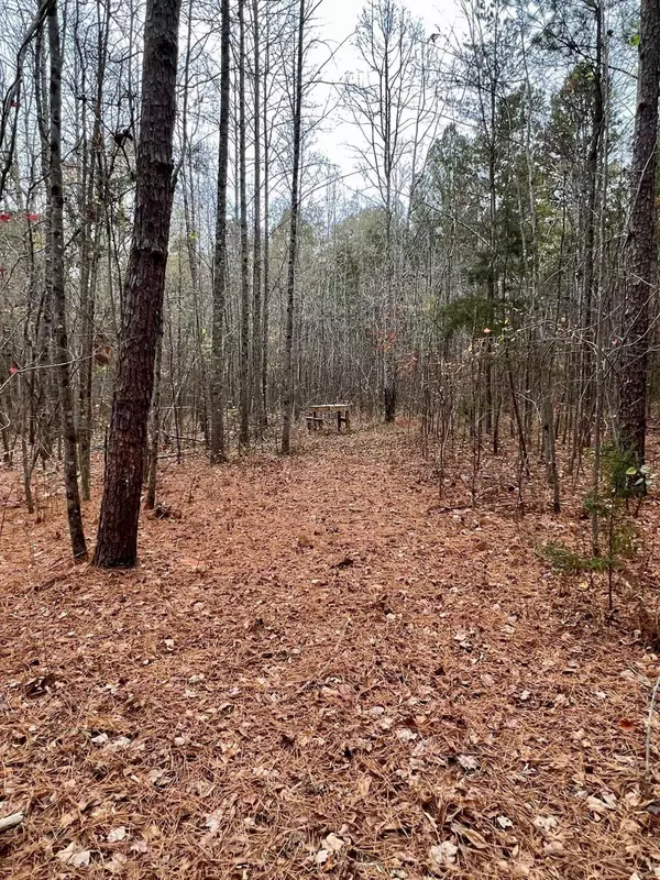 Hurdle Mills, NC 27541,Lot 1 Right Way