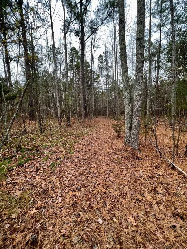 Hurdle Mills, NC 27541,Lot 1 Right Way