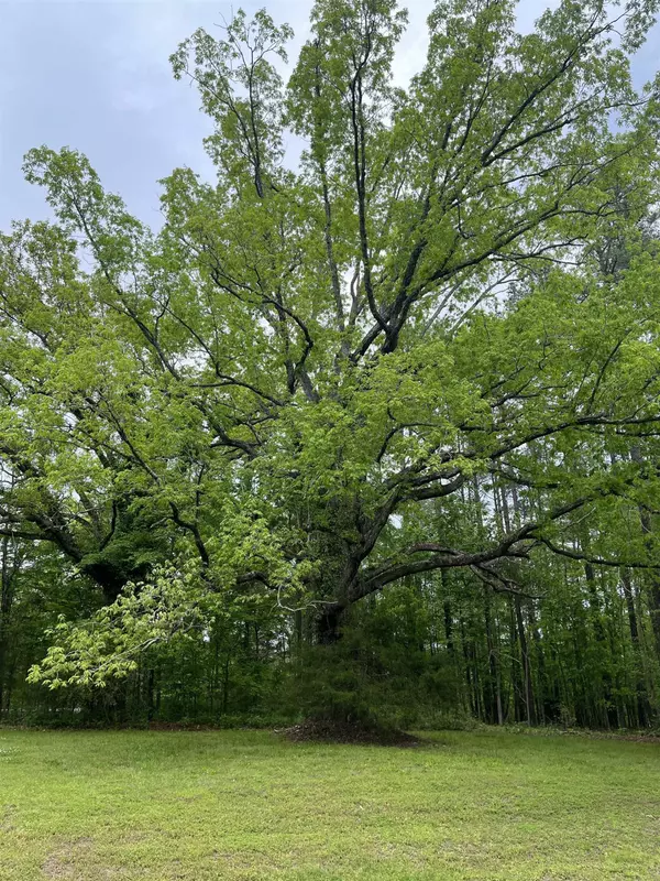 Henderson, NC 27537,Lot 38 - 3 Burning Tree Lane