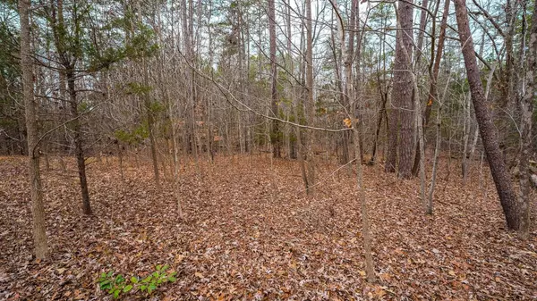 Rougemont, NC 27572,Lot 51 Firetower Drive