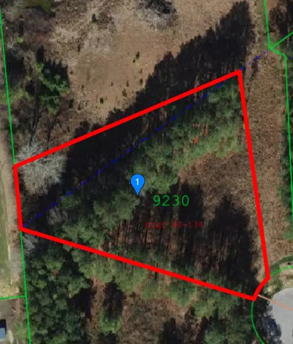 60 Victoria Lane, Benson, NC 27504