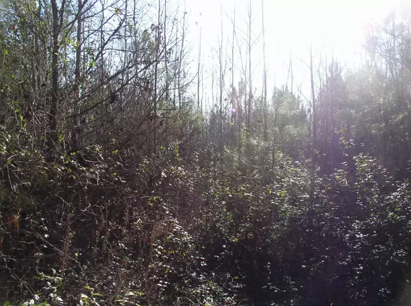 Warrenton, NC 27589,Luna Road