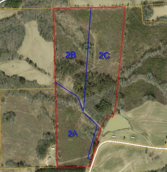 Spring Hope, NC 27882,0 - LOT 2C Lettuce Hall Road