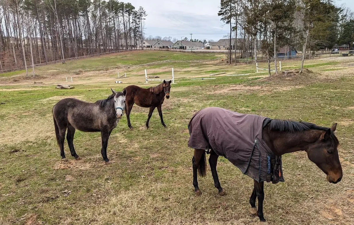 Durham, NC 27703,1105 Doc Nichols Road