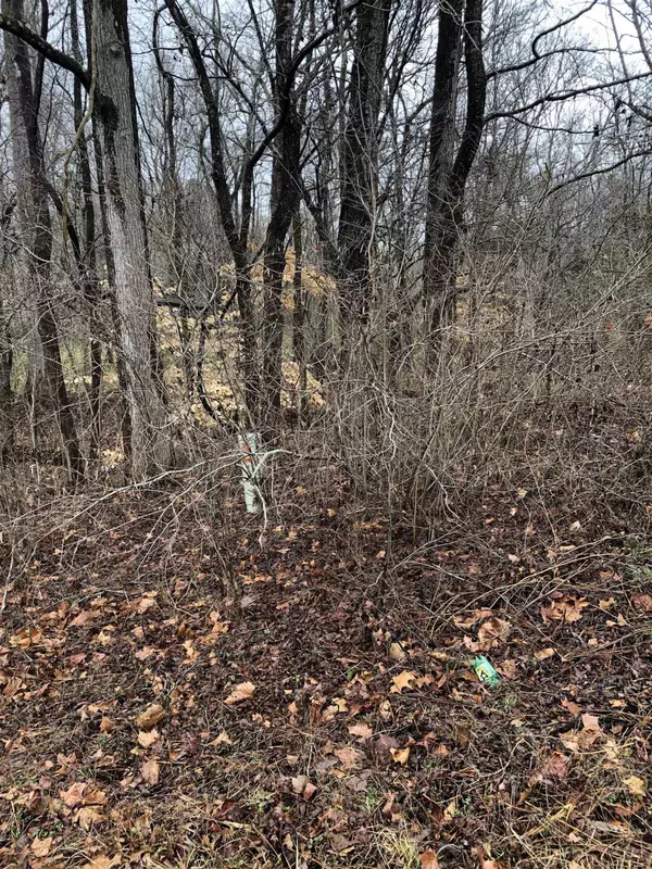 Douglas Williams Road, Castalia, NC 27816