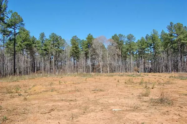 lot 7 Hawkins Road, Hurdle Mills, NC 27541