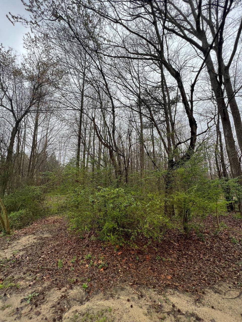 30 Oak Tree Way, Franklinton, NC 27525
