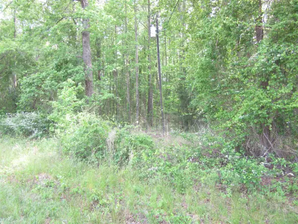 3.23 Acres Woodards Dairy Road, Kenly, NC 27542