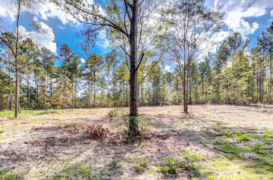 490 Whittington Road, Angier, NC 27501