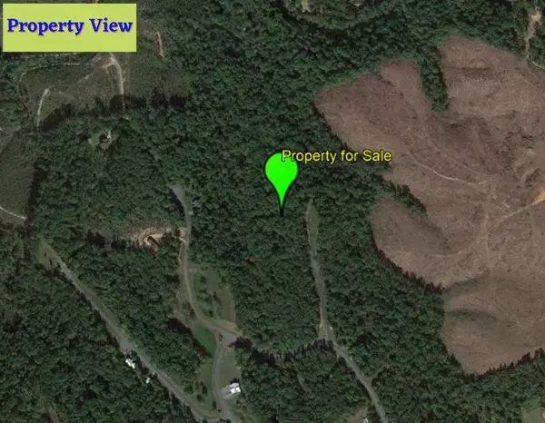 Rutherfordton, NC 28139,Lot 43 and Shady Bark Lane