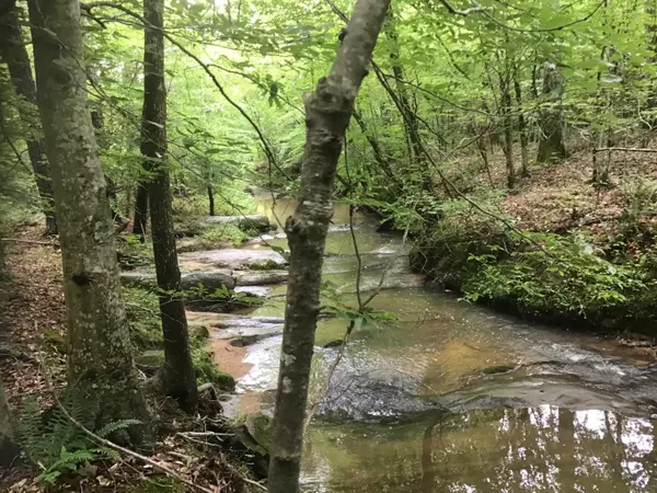 Franklinton, NC 27525,0 Tom Wright Road