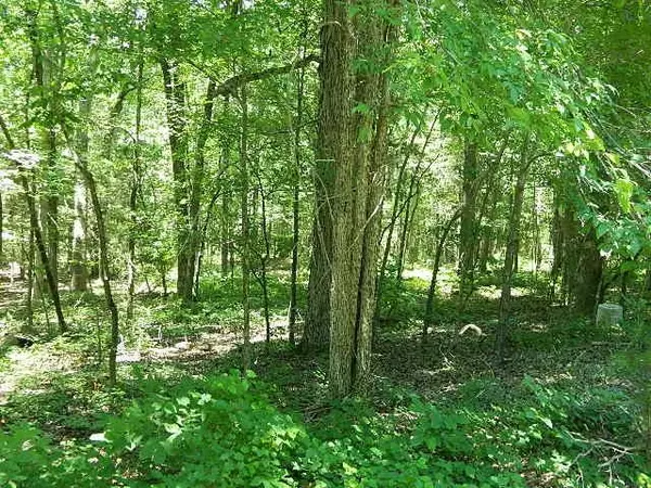 185 Screech Owl, Moncure, NC 27559