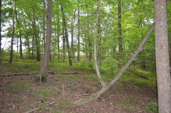 Mebane, NC 27302,0 Dyson Drive