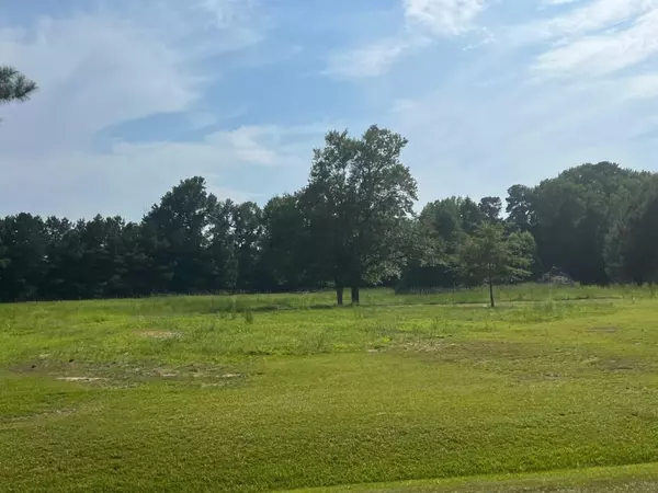 Angier, NC 27501,3466 Matthews Mill Pond Road