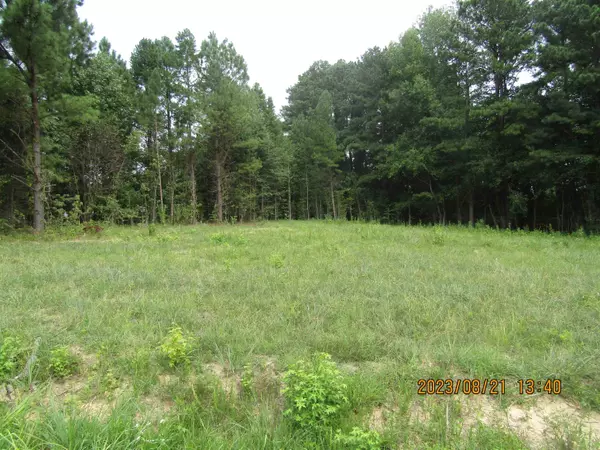 Henderson, NC 27537,Lot 56-57 Spring Lane