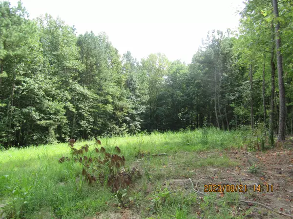 Henderson, NC 27537,Lot 46-47 Spring Lane