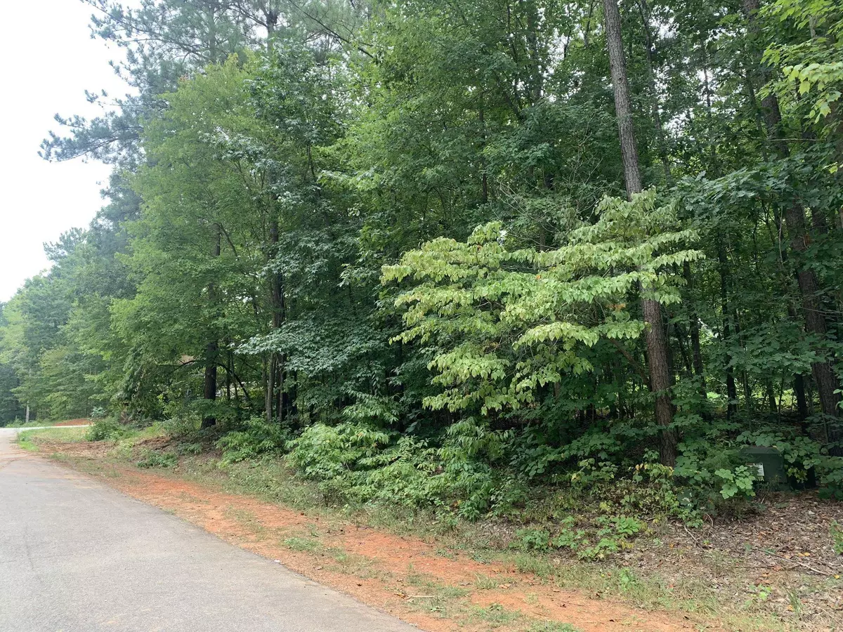 Mebane, NC 27302,Lot 47 Goose Lane