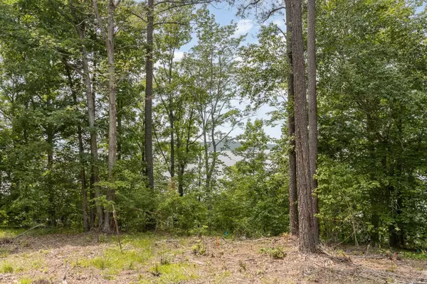 New Hill, NC 27562,23 Bartley Holleman Road