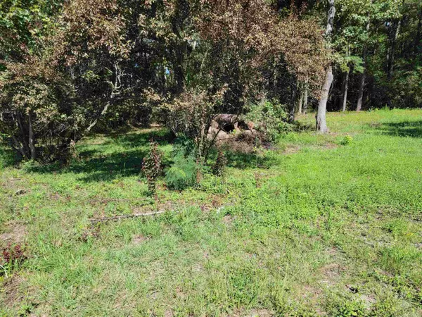 Rocky Mount, NC 27807,4001 Arlington Street
