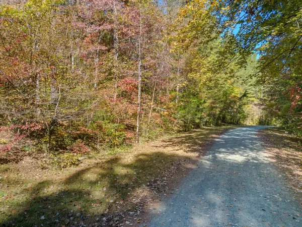 Chapel Hill, NC 27516,Lot 2 Walnut Cove Road