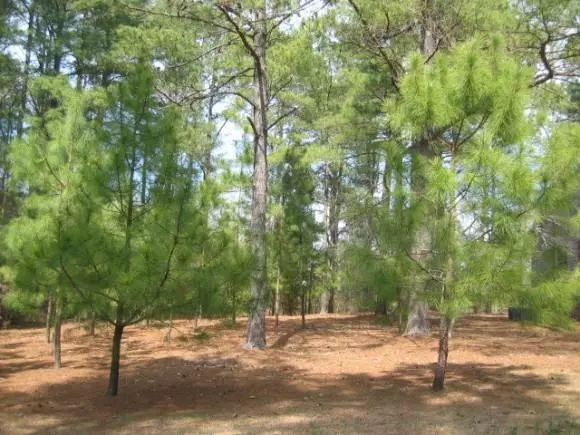 6046 ST Andrews Drive, Sanford, NC 27332