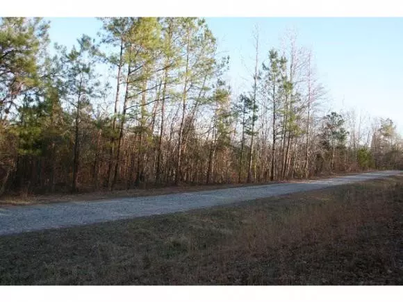 0 Copper Mine Drive, Sanford, NC 27330