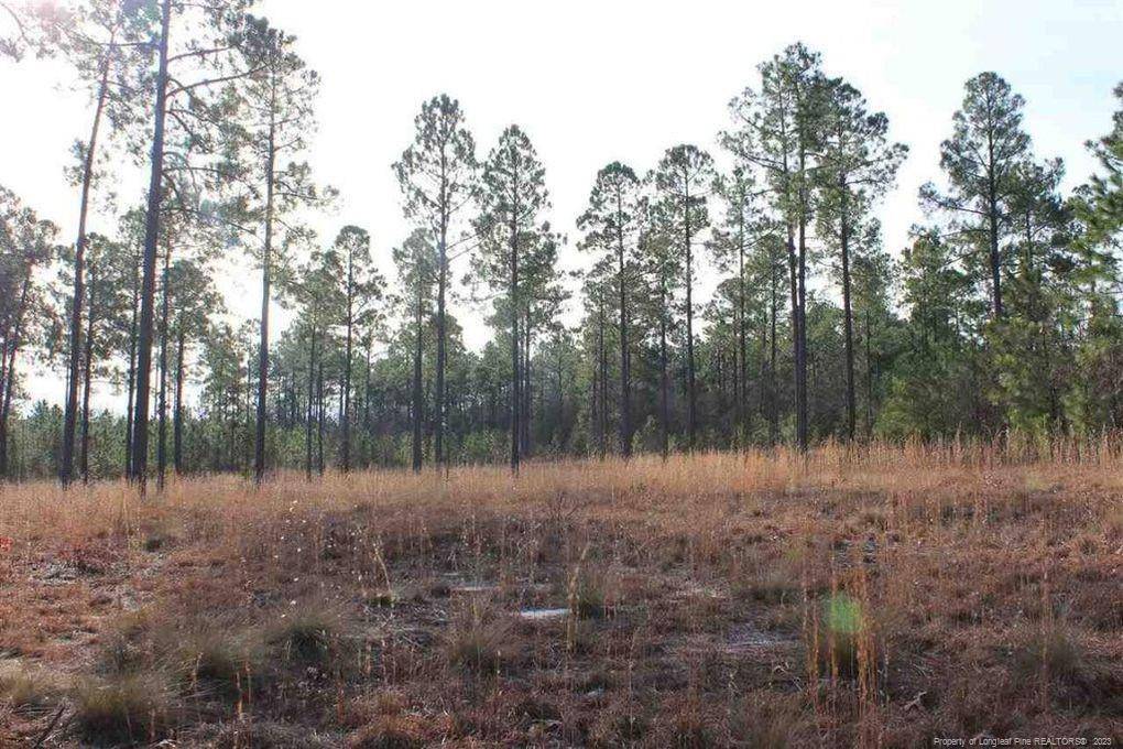 Lot 7 Thunder Road, Pinebluff, NC 28373