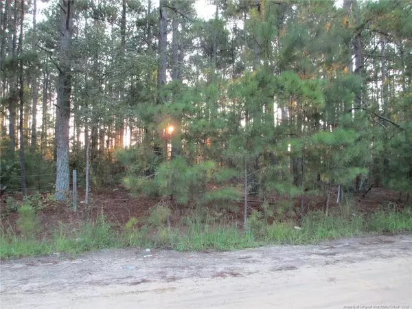 24 +/- Acres S Plank Road, Sanford, NC 27330