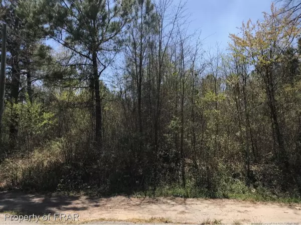 Lot 212 King Richard Court, Red Springs, NC 28377