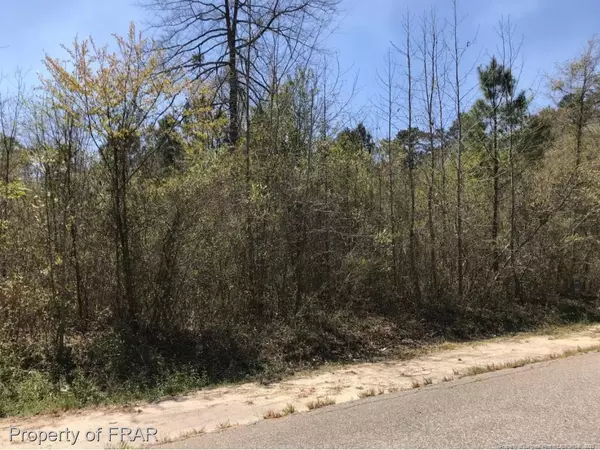 Red Springs, NC 28377,Lot 211 King Richard Court