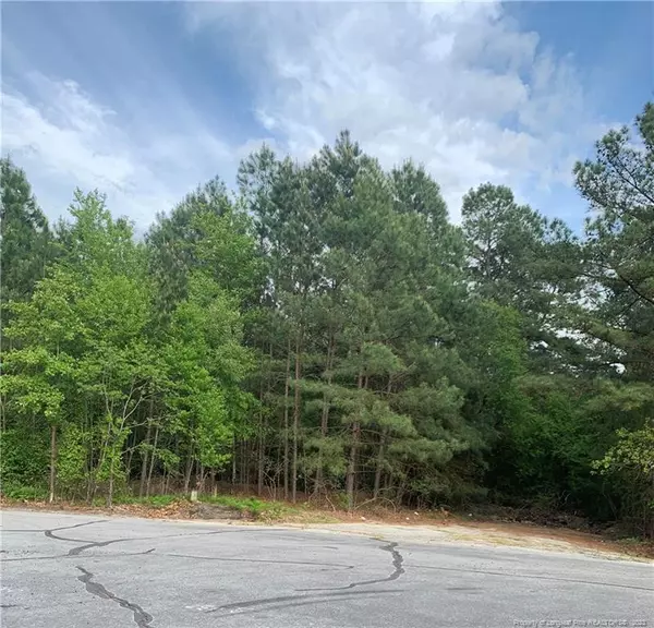 Muskegon Drive, Fayetteville, NC 28311