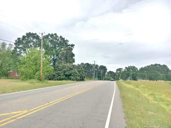 Sanford, NC 27332,Lot 3 LEMON SPRINGS Road