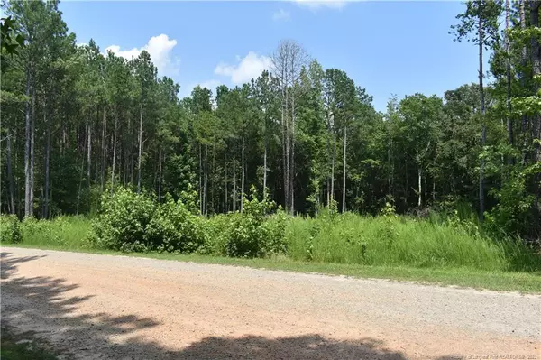 Broadway, NC 27505,Lot 8 River Ridge Drive