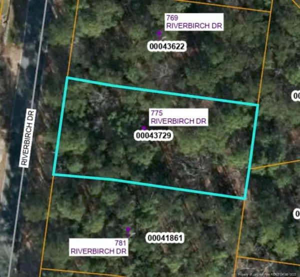 775 Riverbirch Drive, Vass, NC 28394