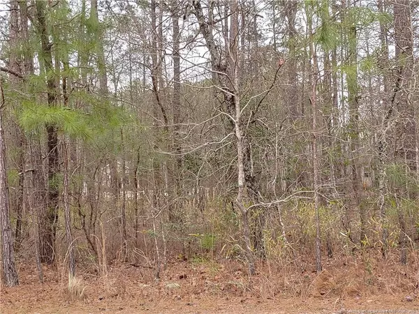 725 Ginesing Drive, Vass, NC 28394