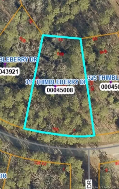 Vass, NC 28394,319 Thimbleberry Drive