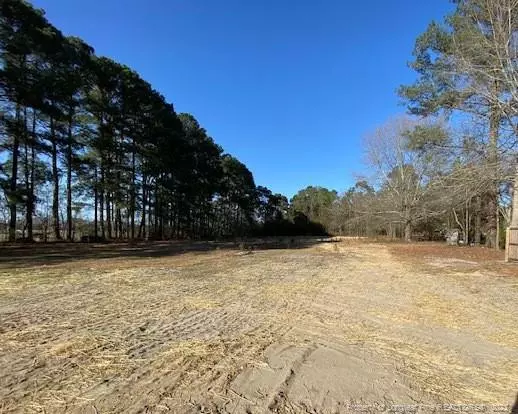 Wade, NC 28395,6431 New Hope Church (Lot 1) Road