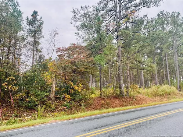 MCDOUGALD Road, Broadway, NC 27505