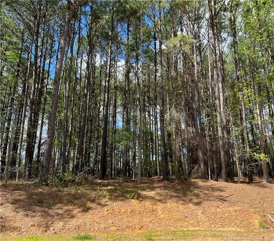 Sanford, NC 27330,LOT 3 Keilind Court