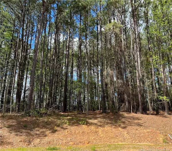 LOT 3 Keilind Court, Sanford, NC 27330