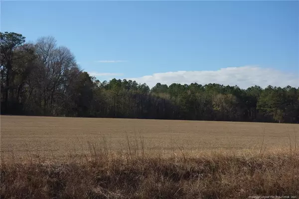 Lot 1 Wiregrass Road, Orrum, NC 28369