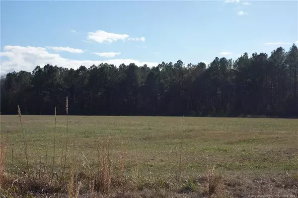 Lot 4 Fire Tower Road, Orrum, NC 28369