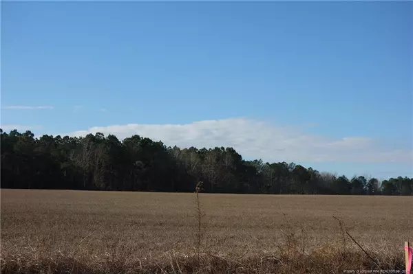 Lot 5 Fire Tower Road, Orrum, NC 28369