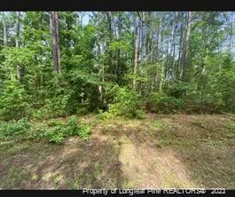 870 Hawthorne Drive, Vass, NC 28394