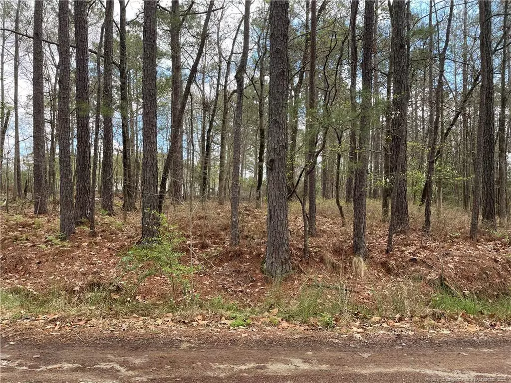 Spring Lake, NC 28390,Lot 14, Pittman Drive