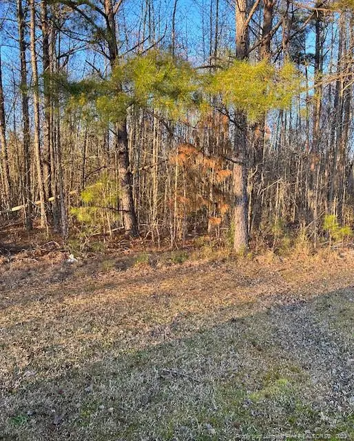 Erwin, NC 28339,2727 Wire Road