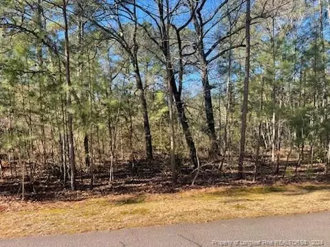 642 Willow Lane, Vass, NC 28394