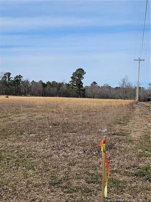 Lot 1 Odum Road, Lumberton, NC 28358